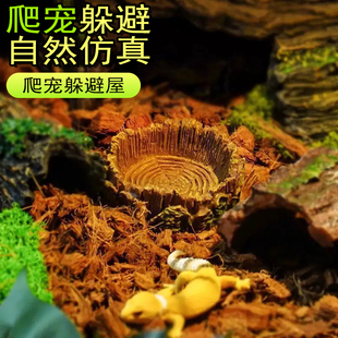 爬宠树皮躲避屋蜥蜴守宫蜘蛛角蛙洞穴饲养箱造景仿真桦木躲避晒台