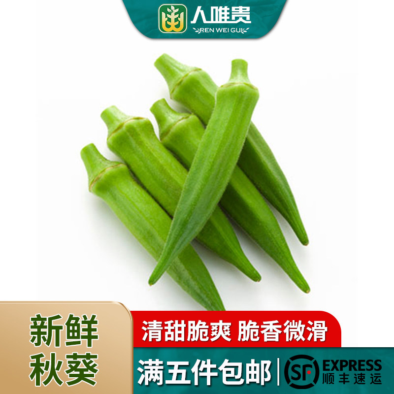 现摘新鲜蔬菜水果秋葵黄秋葵六角羊角豆洋辣椒沙拉食材满五件包邮