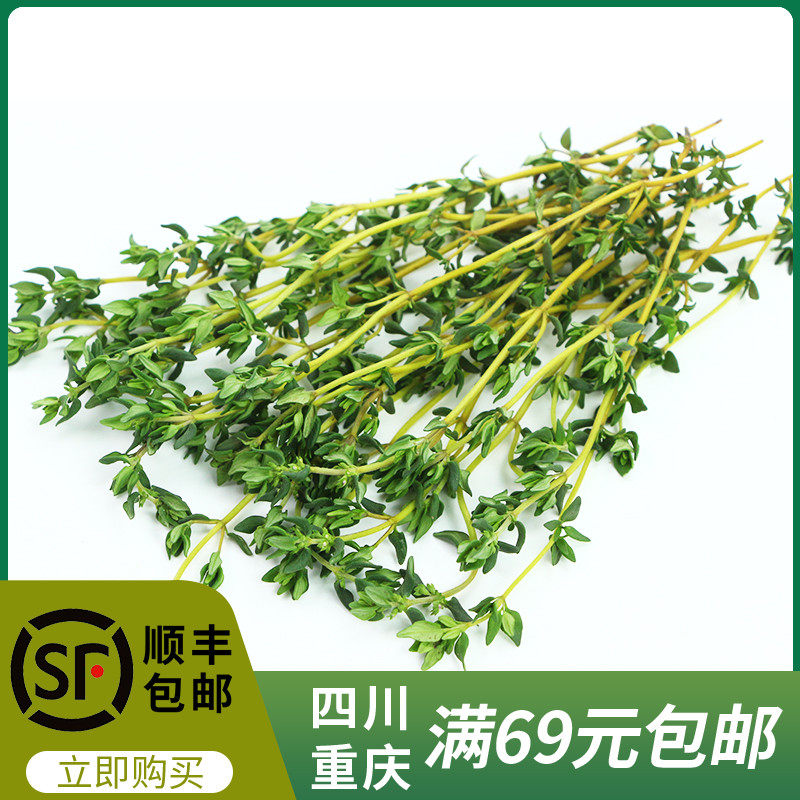 新鲜蔬菜百里香250g千里香食用调料西餐香料现采川渝满69顺丰包邮