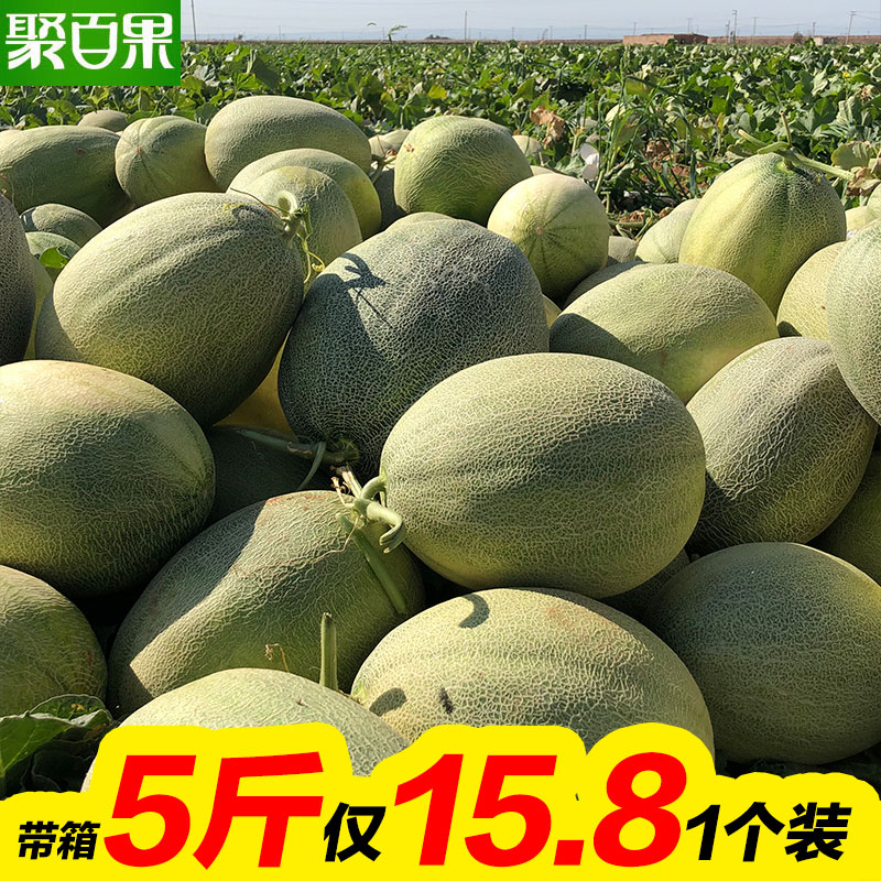聚百果新疆哈密瓜蜜瓜甜瓜西州蜜网纹瓜新鲜水果1个装带箱5斤包邮限5000张券