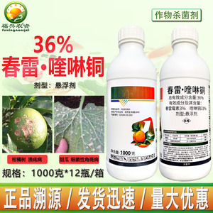 毅植果师傅春雷喹啉铜正品批发
