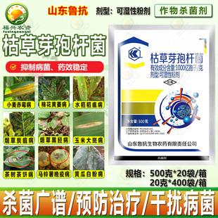 鲁抗1000亿枯草芽孢杆菌黑胫病晚疫病枯萎病稻瘟白粉病杀菌剂农药