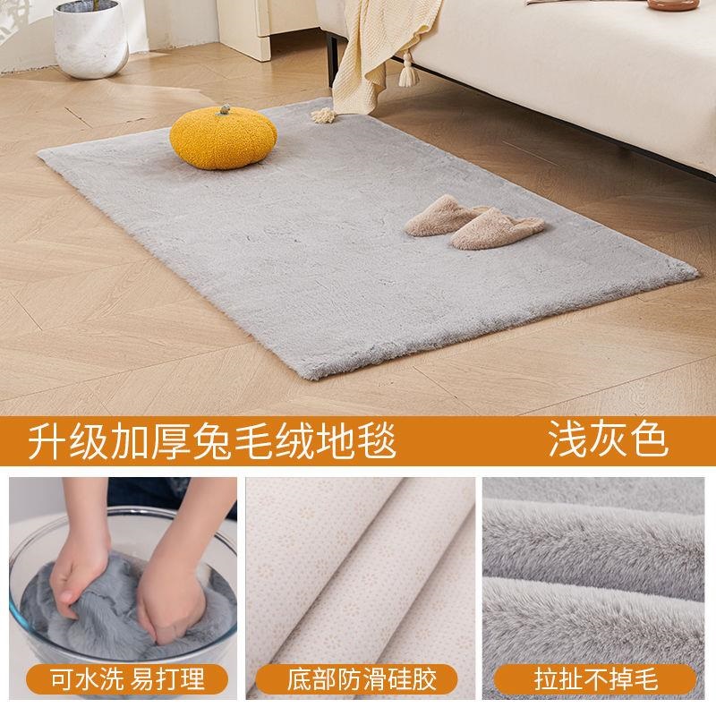 地毯卧室飘窗短毛地垫地毯床边户外露营垫房间长毛绒家用生活垫子