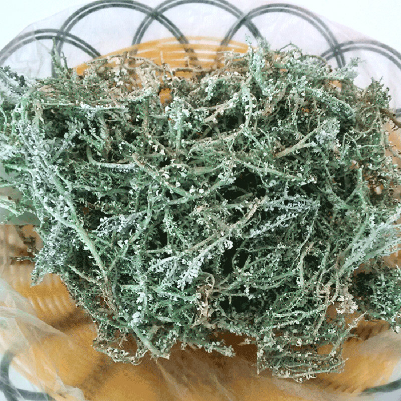 甘南特产鹿角菜高海拔森林野生山野菜干货250g散装角叉菜凉拌包邮