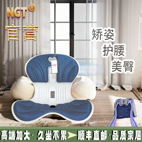 工学椅日本护腰坐垫NGTsyle一体