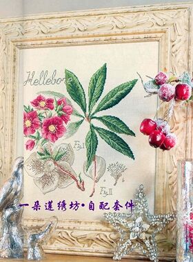 法国进口正品DMC十字绣自配套件 图纸打印 DFEA阴影花---菟葵