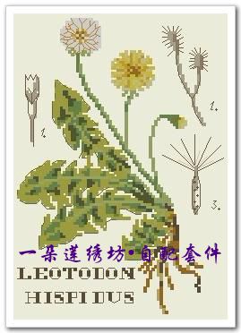 法国进口正品DMC十字绣自配套件 图纸打印 DFEA阴影花---蒲公英