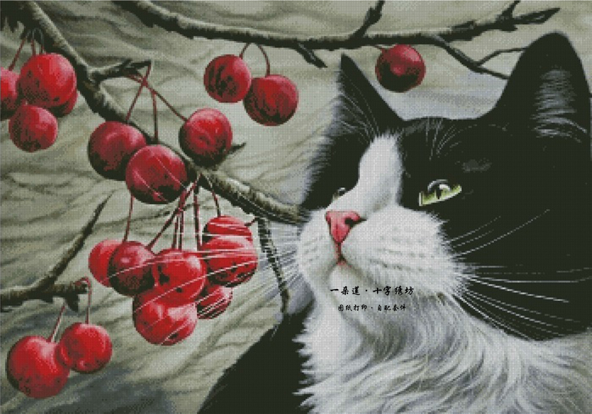一朵莲 法国进口正品DMC十字绣自配套件猫和山楂Cat And Hawthorn