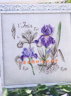 法国进口正品DMC十字绣自配套件 图纸打印 DFEA阴影花-紫色鸢尾