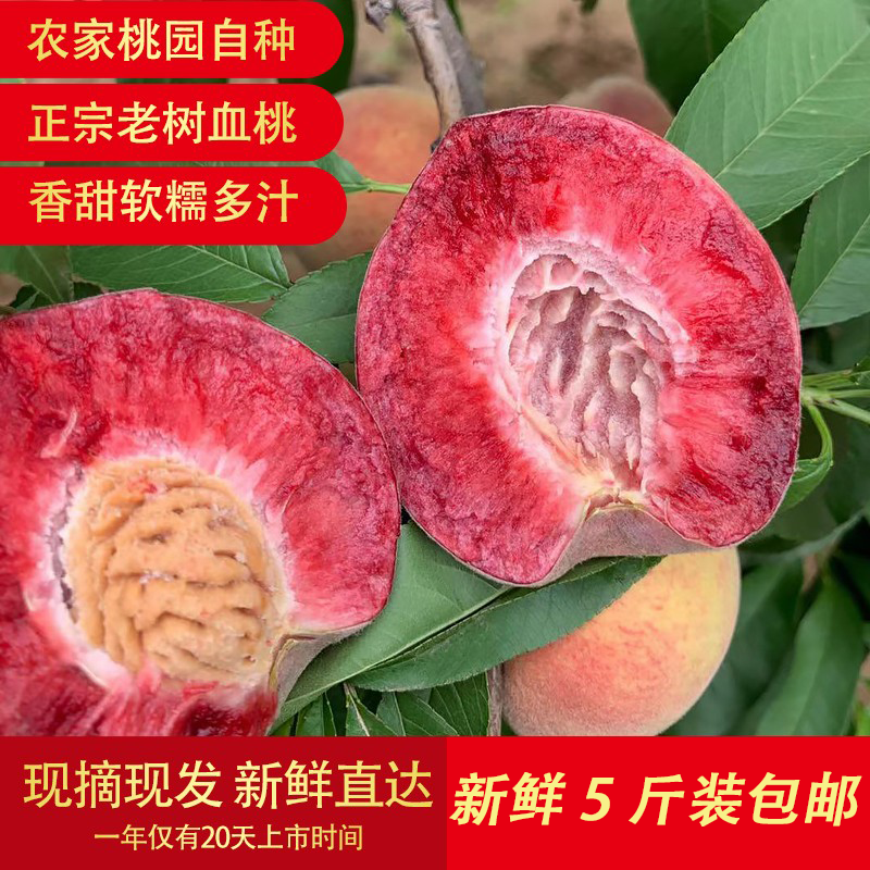河南桐柏朱砂红正宗血桃孕妇新鲜水果5斤应季桃子胭脂红整箱包邮