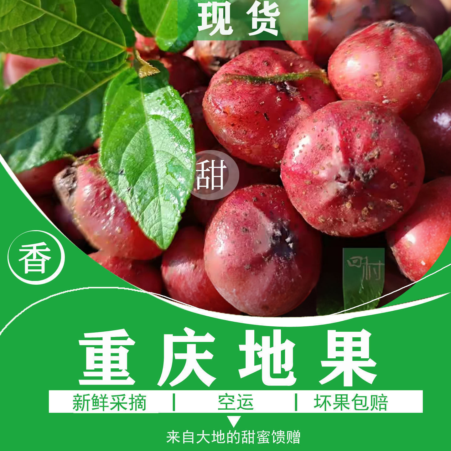 重庆地果果子顺丰空运包邮202枇杷