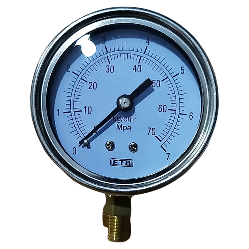 台湾注塑机耐高温进口压力表原厂