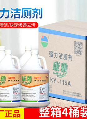 康雅不带喷头3.78L洁厕剂