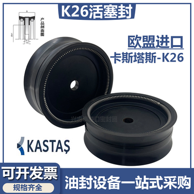 KASTAS带弹簧整体骨架活塞密封圈