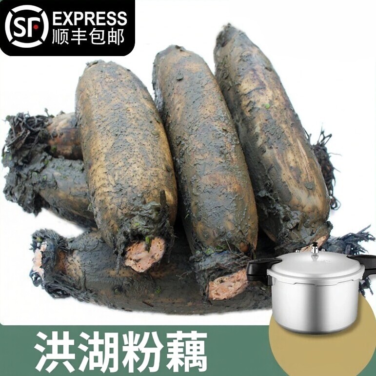 洪湖粉藕湖北粉糯焖莲藕排骨汤