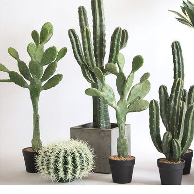 仿真仙人柱绿植盆栽热带沙漠造景