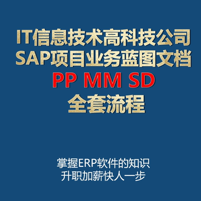 IT信息技术高科技公司SAP项目业务蓝图文档-PP MM SD 全套流程