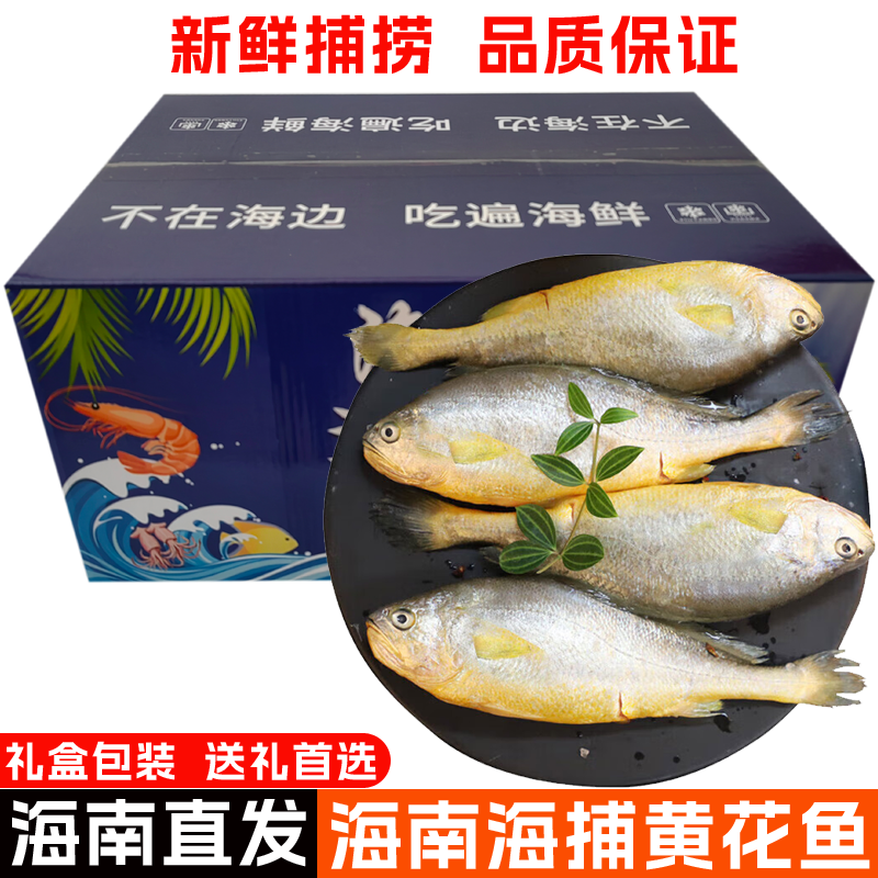 【空运包邮】海南海捕黄花鱼深海大鱼新鲜大黄鱼冷冻海鲜礼盒装