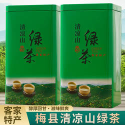 2025春茶叶梅州客家炒茶特级梅县清凉山绿茶高山云雾浓香炒青绿茶