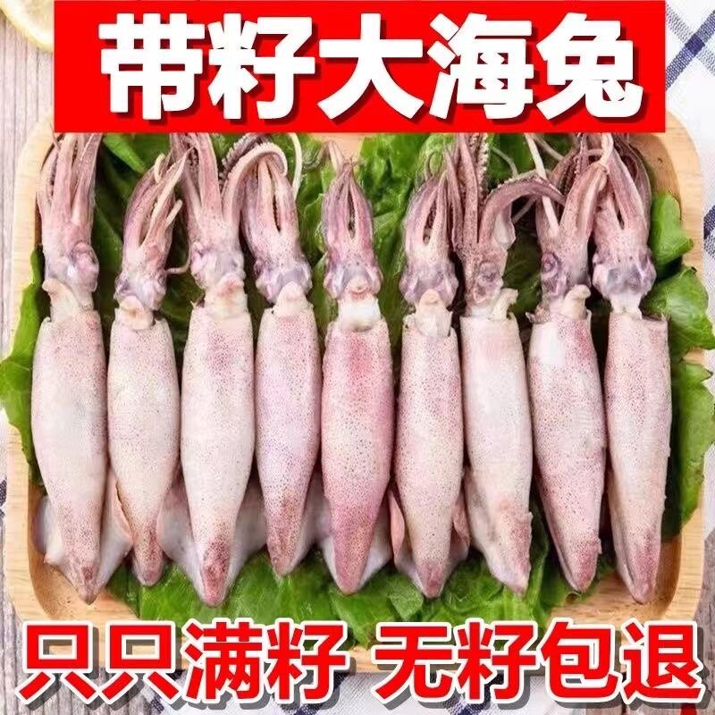 海兔满籽大小墨鱼仔海鲜水产鲜活冷冻笔管鱼全籽乌贼八爪鱼海兔子