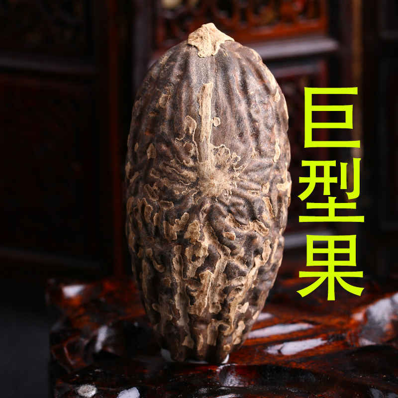 精选千眼菩提原料 菩提子大果胖果老果原仔高密度绿果原果精品