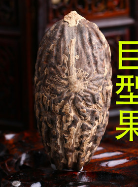 精选千眼菩提子大原果原料鳄鱼果