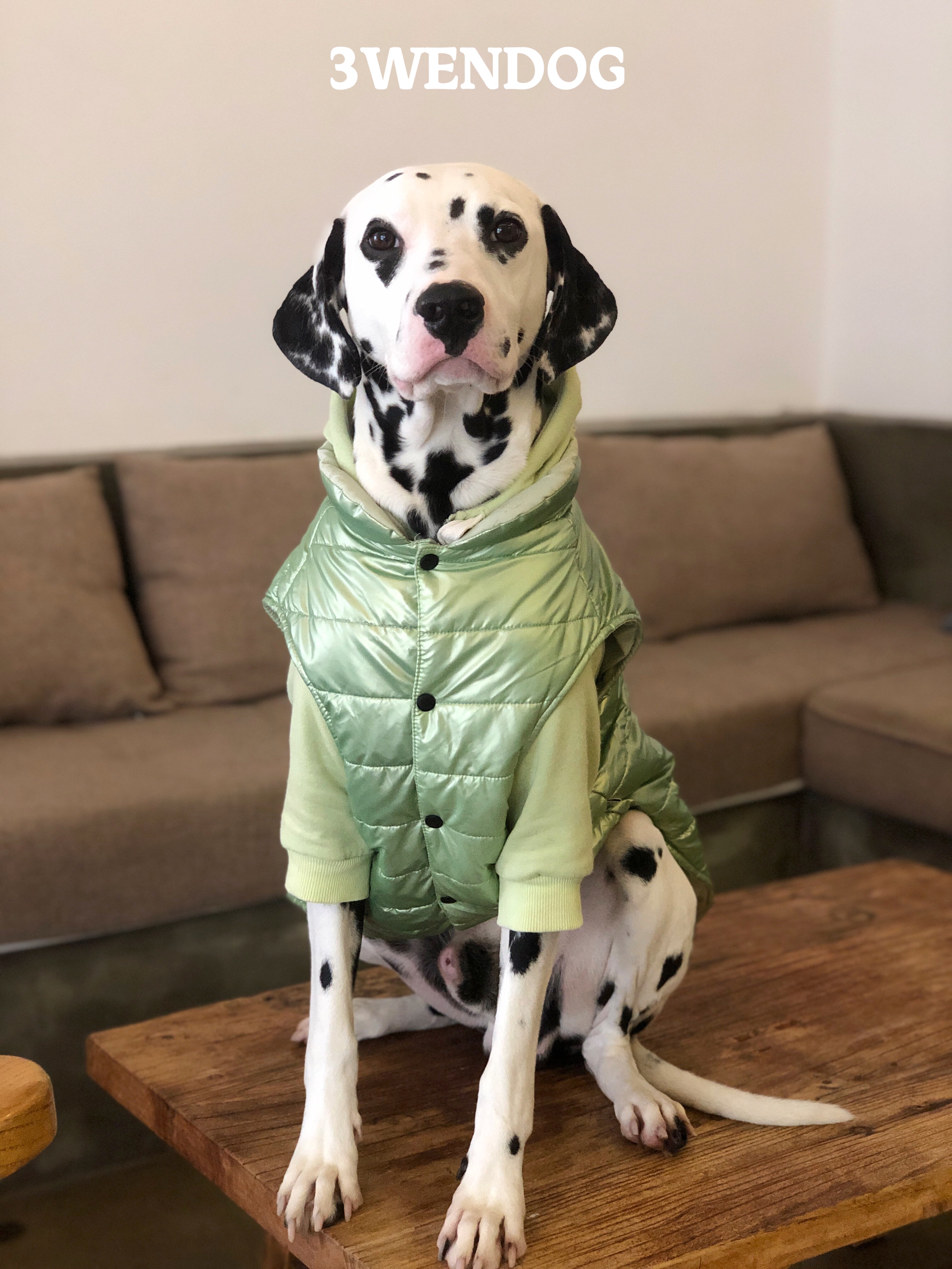 中大型犬狗狗衣服流光背心棉服