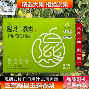 山西隰县玉露香梨皮薄脆甜应当季现摘新鲜水果孕妇梨子临汾小西天