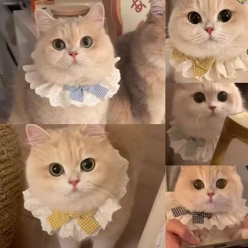 猫猫围兜口水巾可爱蝴蝶结饰品