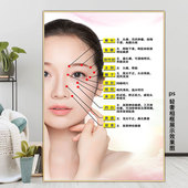 眼部穴位按摩图挂画美容院馆眼部护理海报眼科人体眼部按摩护理图