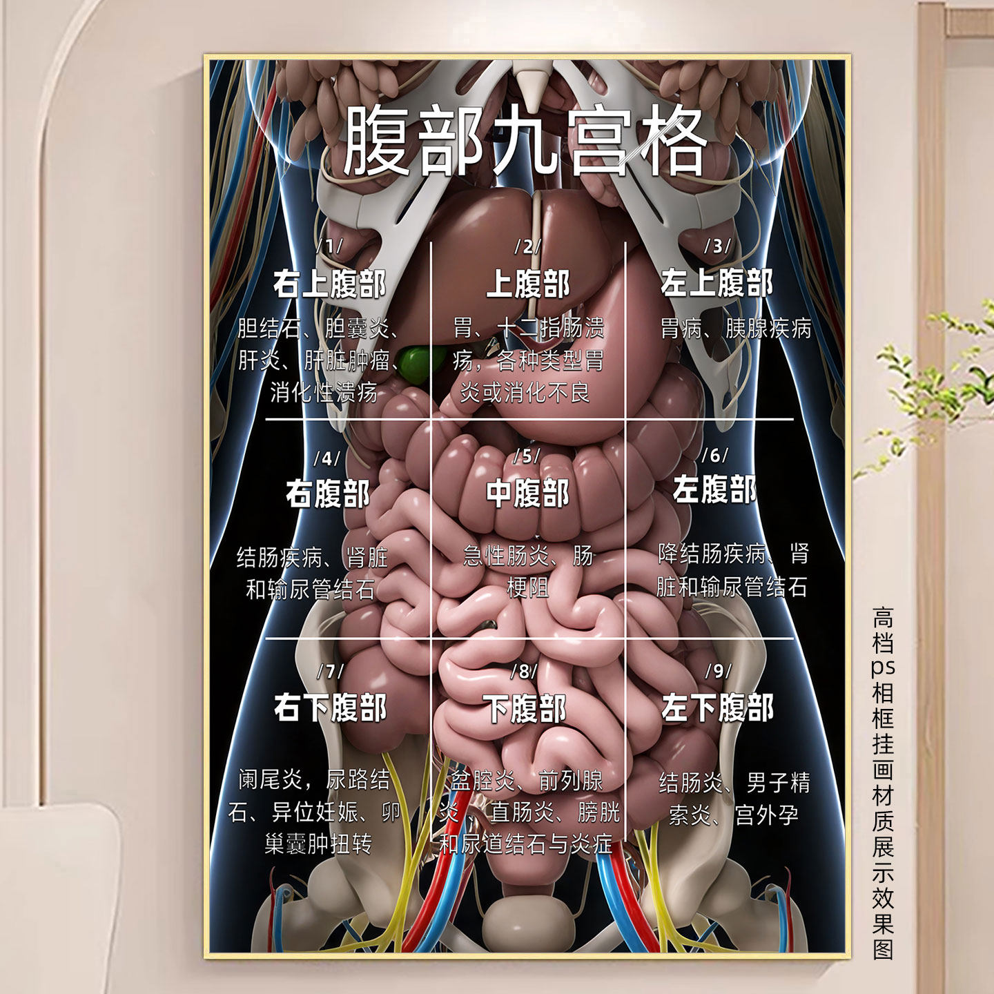 腹部九宫格图揉腹广告宫寒海报画