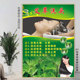 艾草洗头宣传画养发馆装 饰画中药养发挂画姜疗广告图茶麸洗头海报