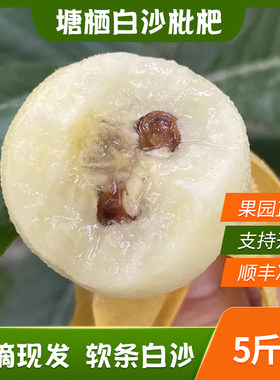 塘栖枇杷正宗软条白沙枇杷浙江杭州塘西白玉枇杷5斤装顺丰包邮
