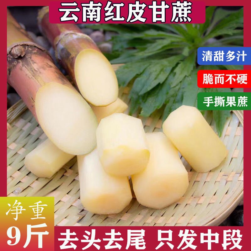 甘蔗好吃便宜皮薄汁多