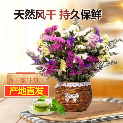 勿忘我满天星干花花束