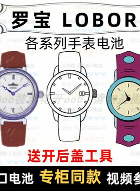 罗宝各型号男女表进口纽扣电池