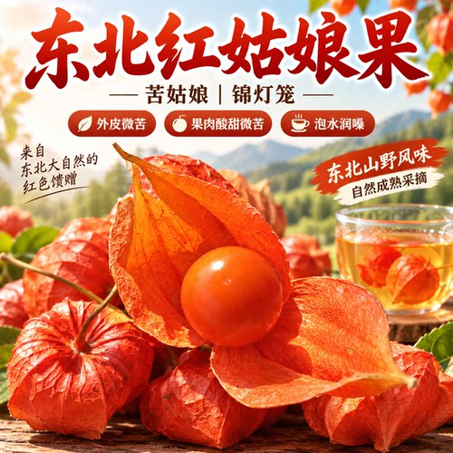 新鲜东北红姑娘果灯笼果药食同源长白山苦姑娘果有皮有果