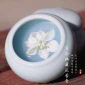 植物配方白百合唇膜淡化唇色色素沉淀改善干裂保湿 润唇无色润唇膏