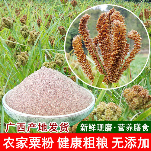 广西岑溪鸭脚粟米粉龙爪粟粉栗粉