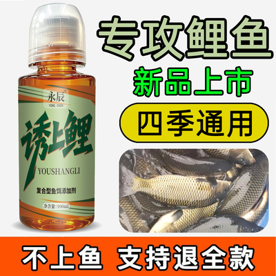 鲤鱼小药黑坑野钓专用滑口