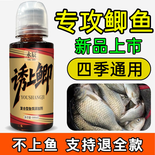 鲫鱼小药野钓专用黑坑