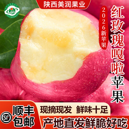 新苹果红嘎啦苹果陕西红玫瑰嘎啦脆甜多汁现摘现发洛川苹果