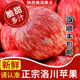 陕西洛川苹果水晶红富士富士水果脆甜冰糖心新鲜水果5斤