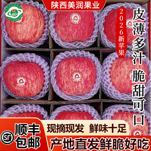 陕西洛川苹果水晶红富士富士水果脆甜冰糖心新鲜水果5斤中通包邮