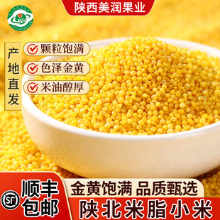 陕北小米黄小米油小米陕北特产米脂小米农家小米农家种植顺丰包邮