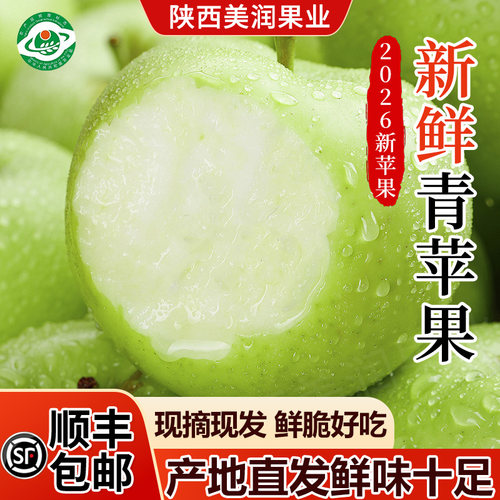 新苹果洛川青苹果苹果陕西老树苹果绿苹果脆甜 现摘现发洛川苹果