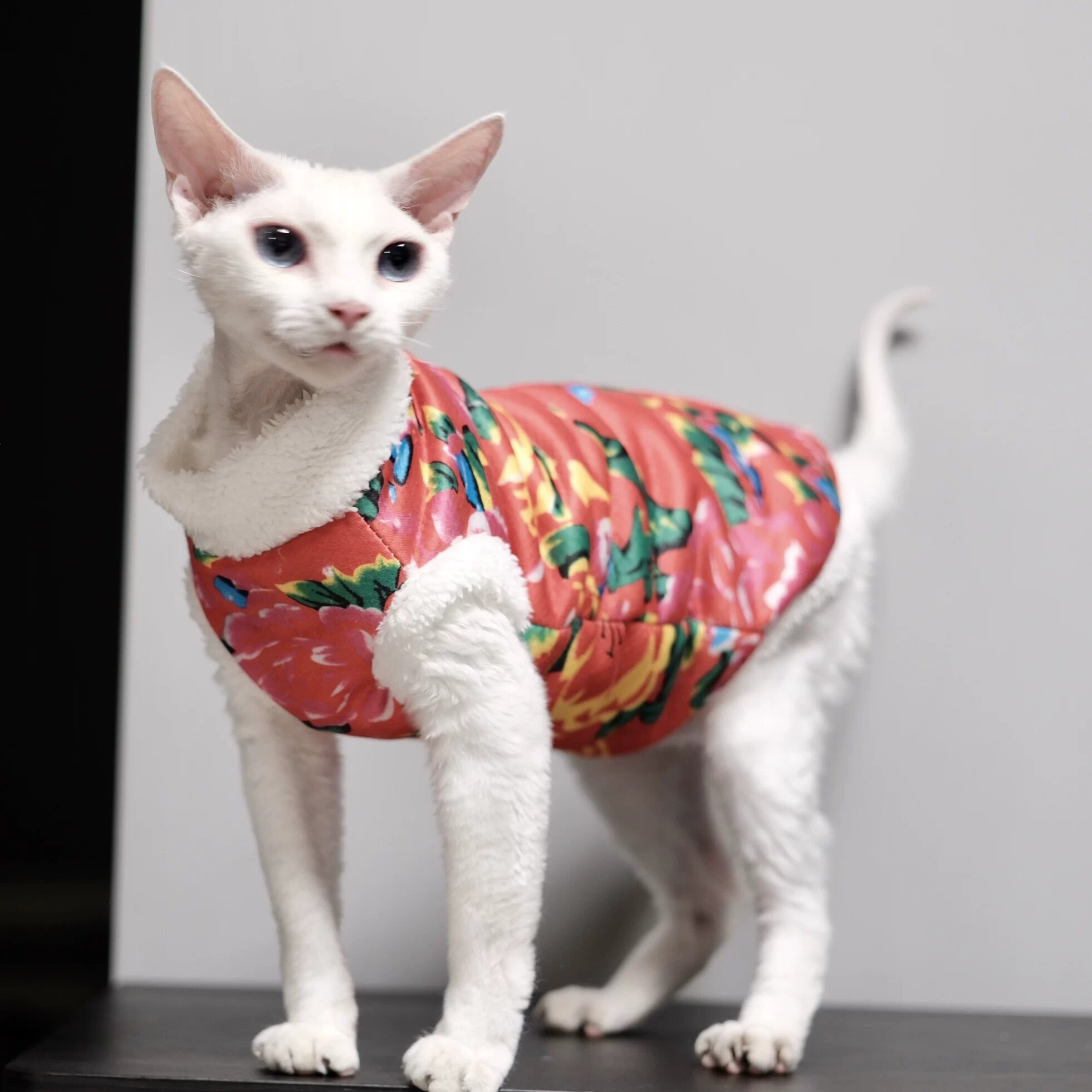 无毛猫东北大花袄保暖背心