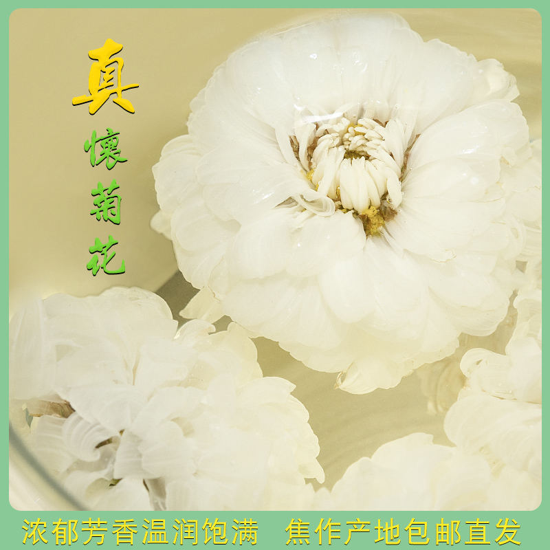清热正宗怀菊花茶河南焦作怀菊花40g怀沁怀白菊 四大怀药产地直销