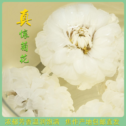 清热正宗怀菊花茶河南焦作怀菊花40g怀沁怀白菊 四大怀药产地直销