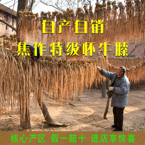 精选河南焦作怀牛膝中药材250g